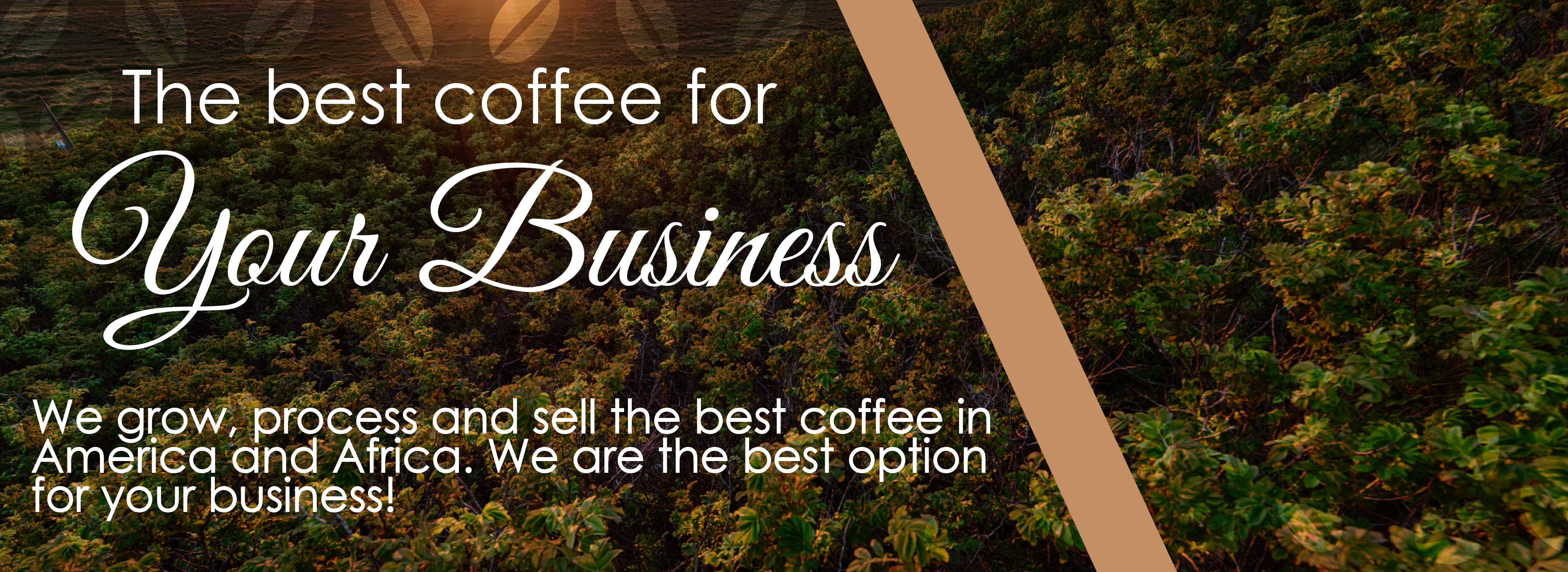 Cafe Home [Recuperado]-21